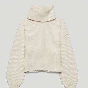 Aritzia Babaton Guell turtleneck sweater